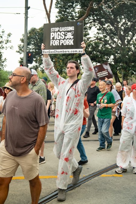 Dominion Animal Rights March 2025