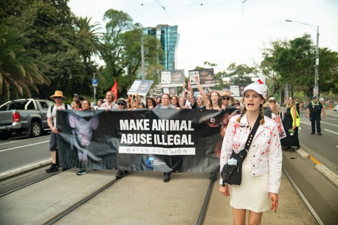 Dominion Animal Rights March 2025