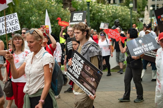 Dominion Animal Rights March 2025