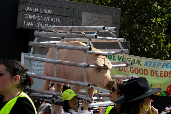 Dominion Animal Rights March 2025