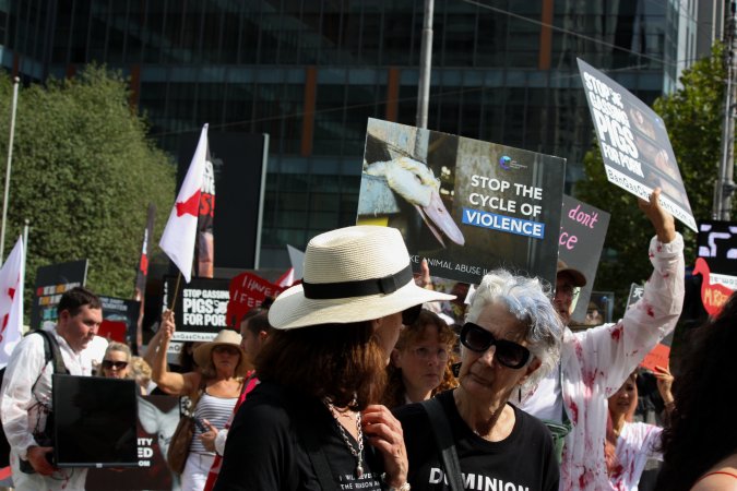 Dominion Animal Rights March 2025