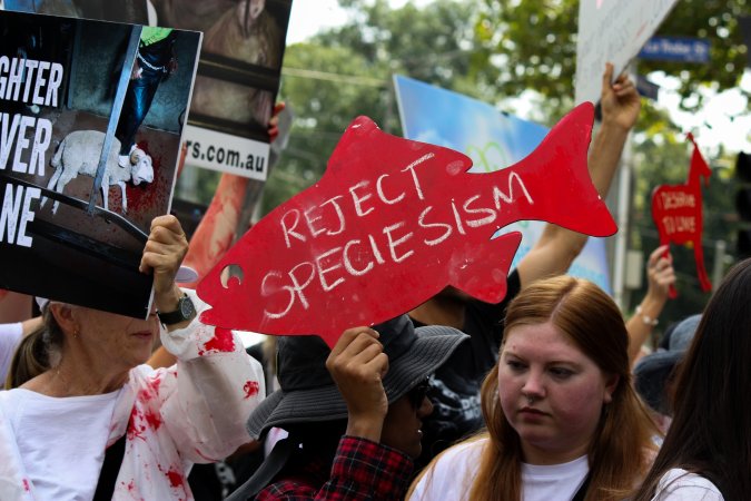 Dominion Animal Rights March 2025