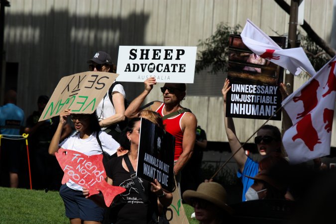 Dominion Animal Rights March 2025