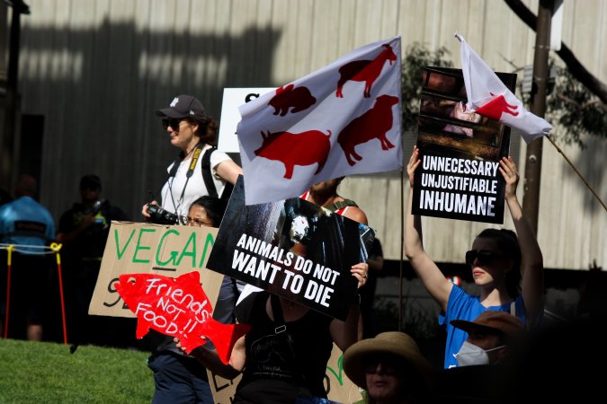 Dominion Animal Rights March 2025