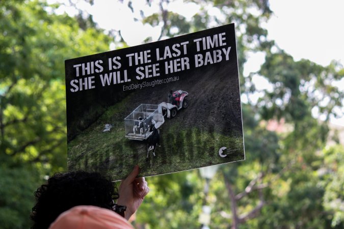 Dominion Animal Rights March 2025