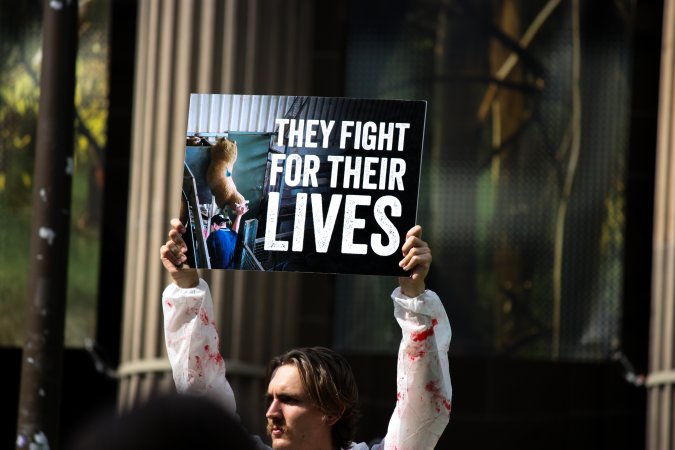 Dominion Animal Rights March 2025