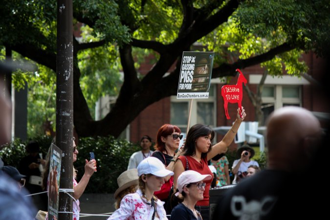 Dominion Animal Rights March 2025