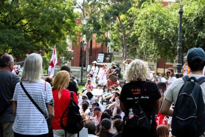 Dominion Animal Rights March 2025