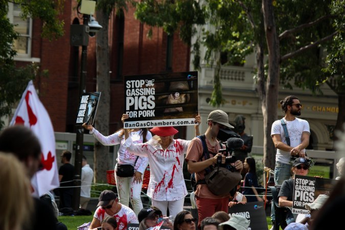 Dominion Animal Rights March 2025