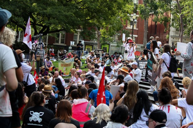 Dominion Animal Rights March 2025