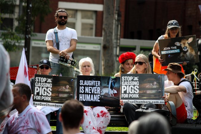 Dominion Animal Rights March 2025