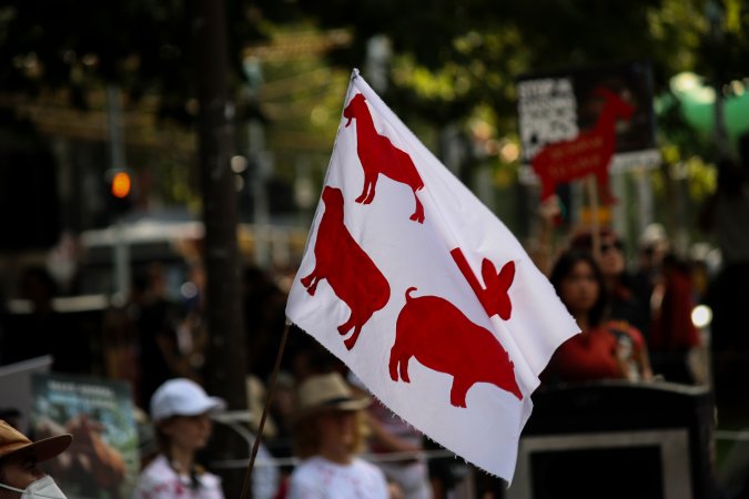 Dominion Animal Rights March 2025