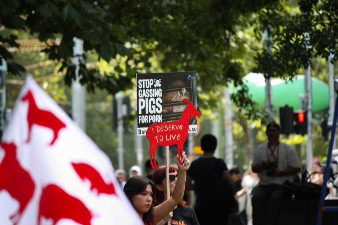 Dominion Animal Rights March 2025
