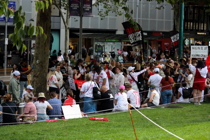 Dominion Animal Rights March 2025