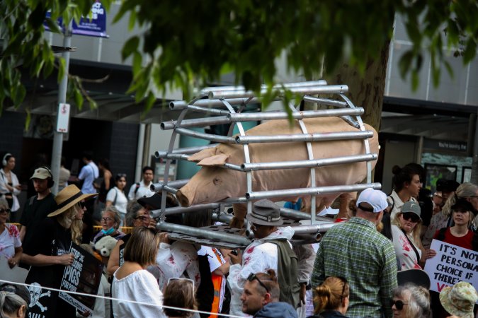 Dominion Animal Rights March 2025