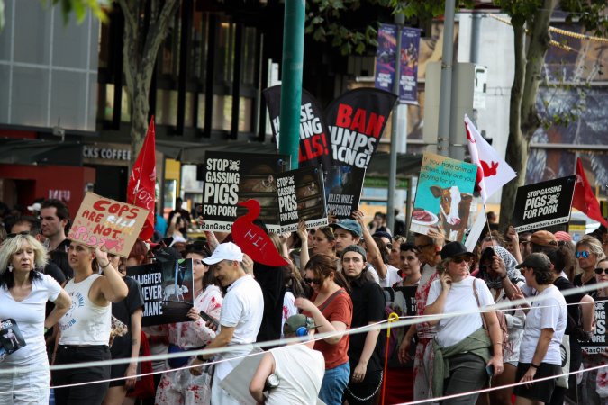 Dominion Animal Rights March 2025