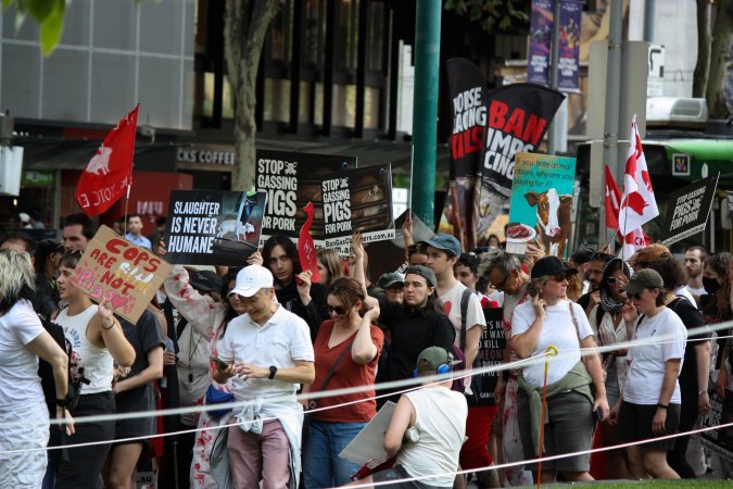 Dominion Animal Rights March 2025