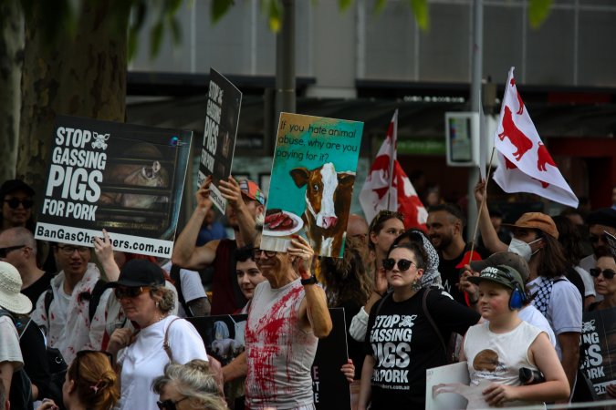 Dominion Animal Rights March 2025