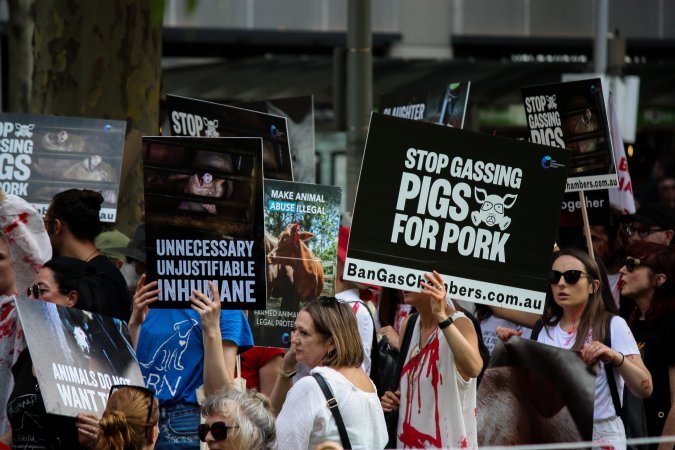 Dominion Animal Rights March 2025
