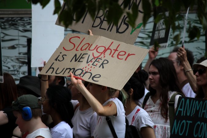 Dominion Animal Rights March 2025