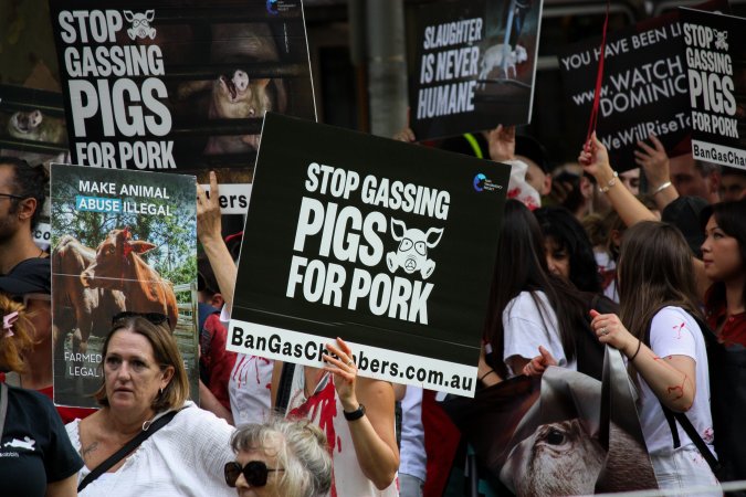 Dominion Animal Rights March 2025