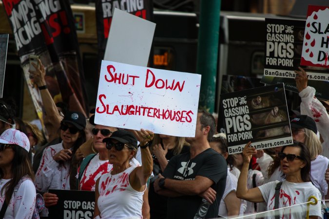 Dominion Animal Rights March 2025