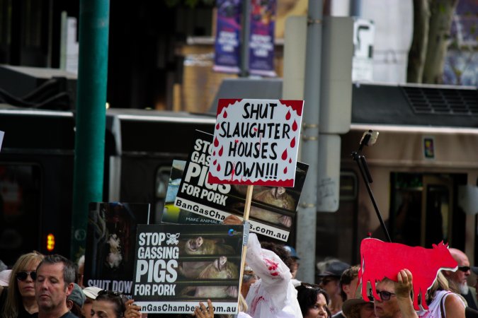 Dominion Animal Rights March 2025