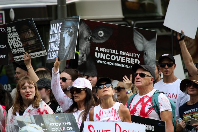 Dominion Animal Rights March 2025