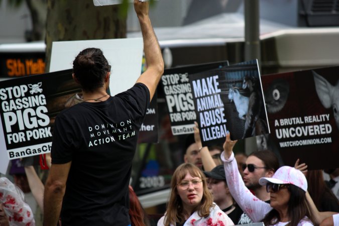 Dominion Animal Rights March 2025