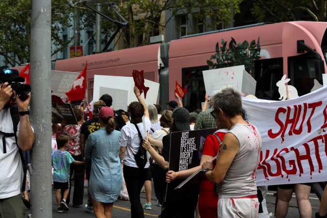 Dominion Animal Rights March 2025