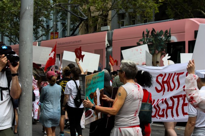 Dominion Animal Rights March 2025