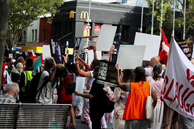 Dominion Animal Rights March 2025