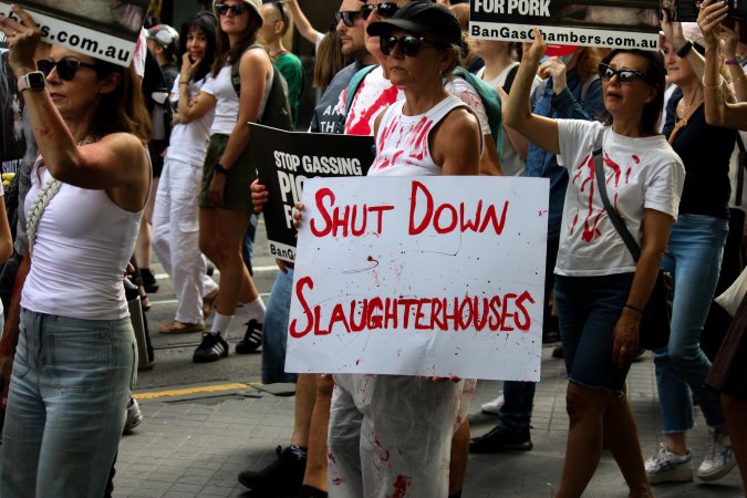 Dominion Animal Rights March 2025