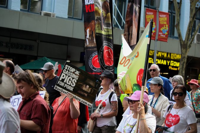 Dominion Animal Rights March 2025