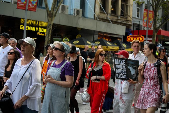 Dominion Animal Rights March 2025