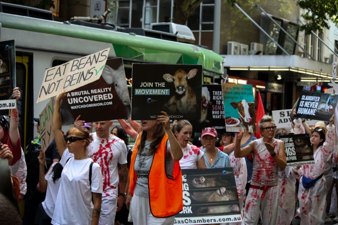 Dominion Animal Rights March 2025