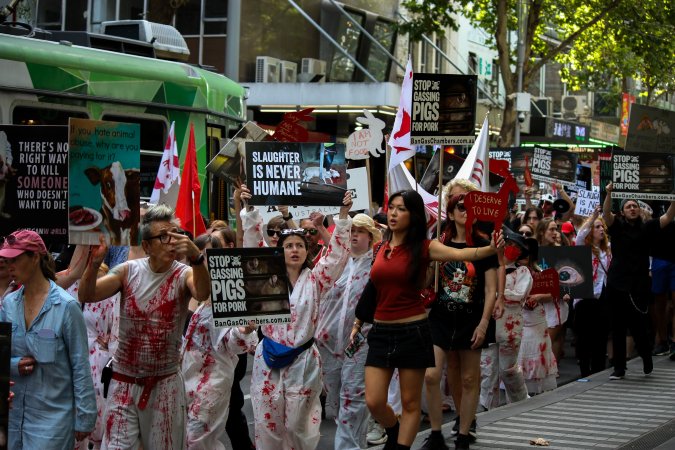 Dominion Animal Rights March 2025