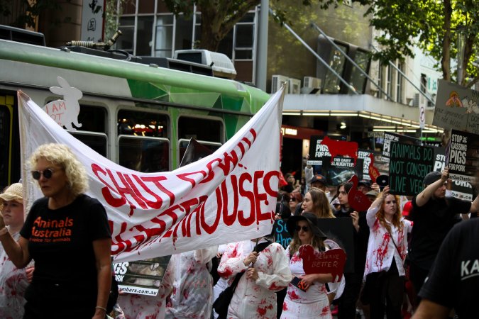 Dominion Animal Rights March 2025
