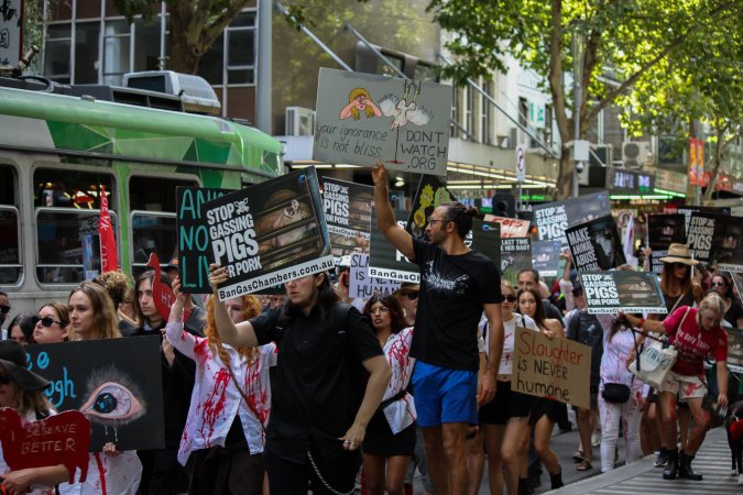 Dominion Animal Rights March 2025
