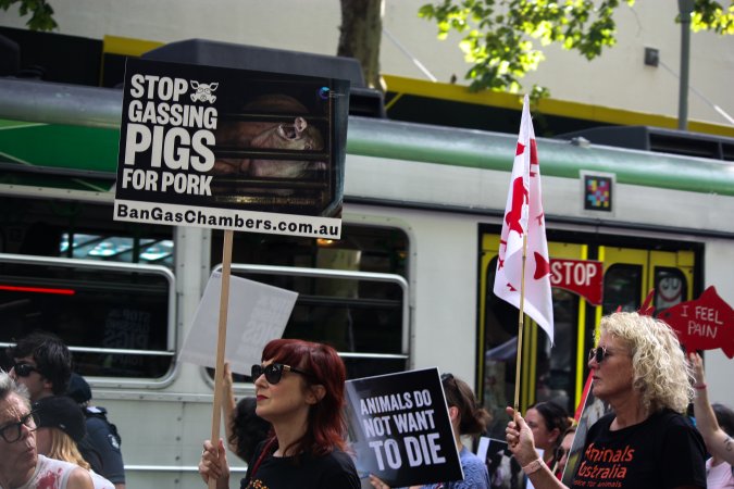 Dominion Animal Rights March 2025