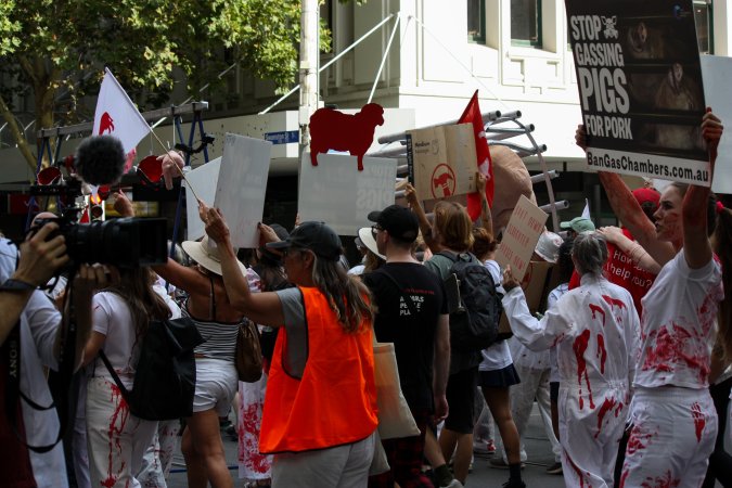 Dominion Animal Rights March 2025