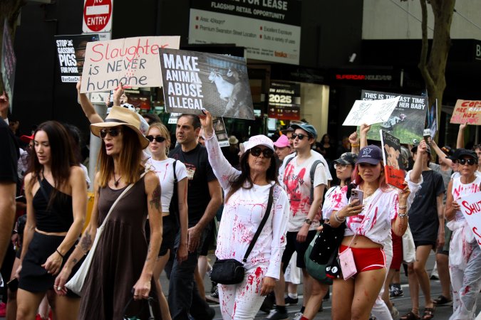 Dominion Animal Rights March 2025