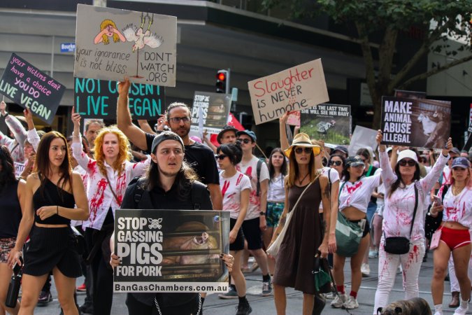 Dominion Animal Rights March 2025
