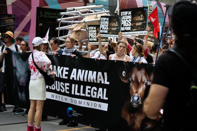 Dominion Animal Rights March 2025