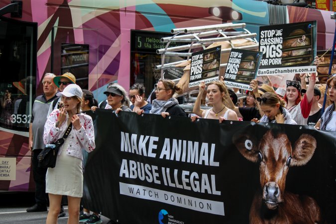 Dominion Animal Rights March 2025