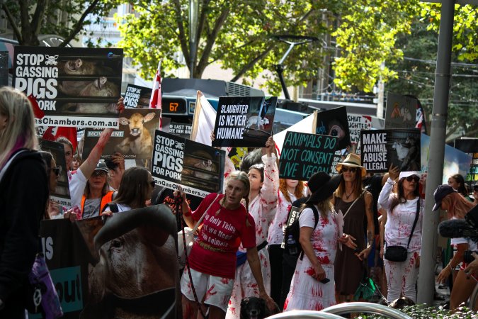 Dominion Animal Rights March 2025
