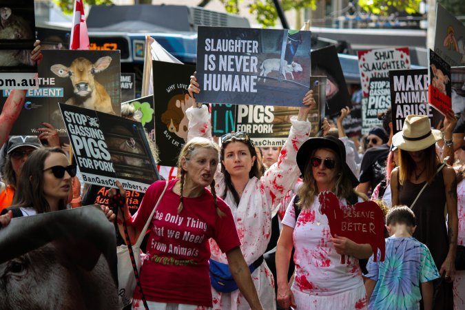 Dominion Animal Rights March 2025