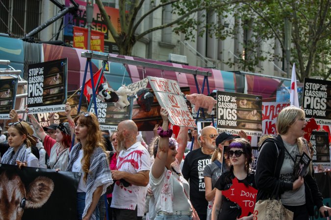 Dominion Animal Rights March 2025