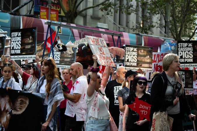 Dominion Animal Rights March 2025