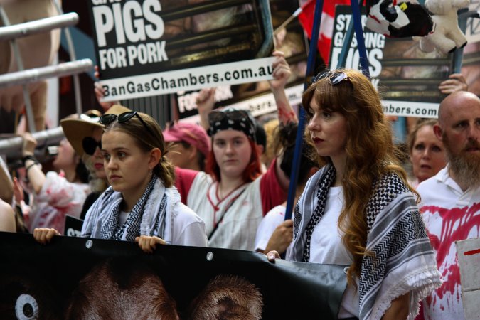 Dominion Animal Rights March 2025